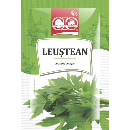Cio leustean 6g