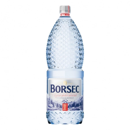 Borsec apa plata 2l
