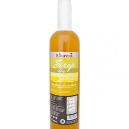 Raureni sirop din soc si lamaie 500ml