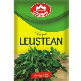 Cosmin leustean 6g