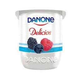 Danone Delicios fructe de padure 125g