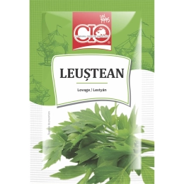 Cio leustean 6g