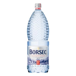 Borsec apa plata 2l
